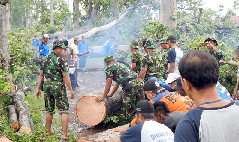 Gerak Cepat, Sejumlah Pihak Pulihkan Keadaan Usai Puting Beliung Tongas