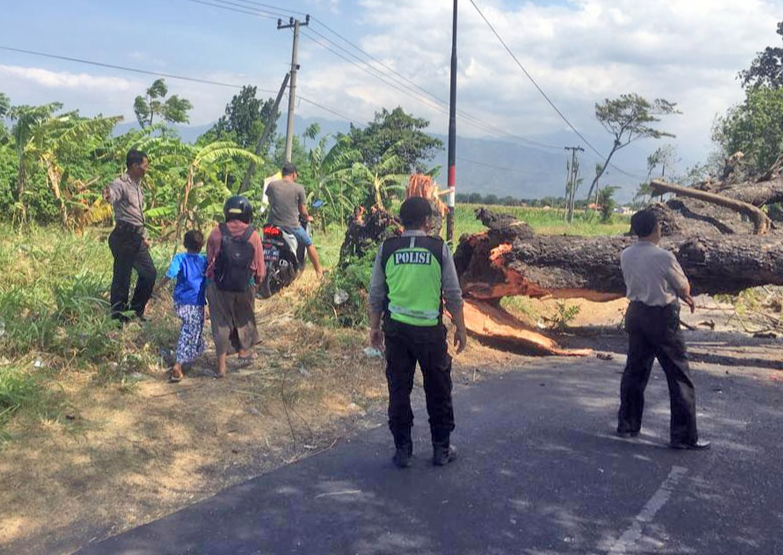 Pohon Tumbang, Jalan Pakuniran Lumpuh Dua Jam
