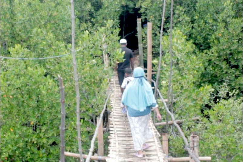 Pantai Mangrove Seruni, Suguhkan Panorama Mangrove yang Asri