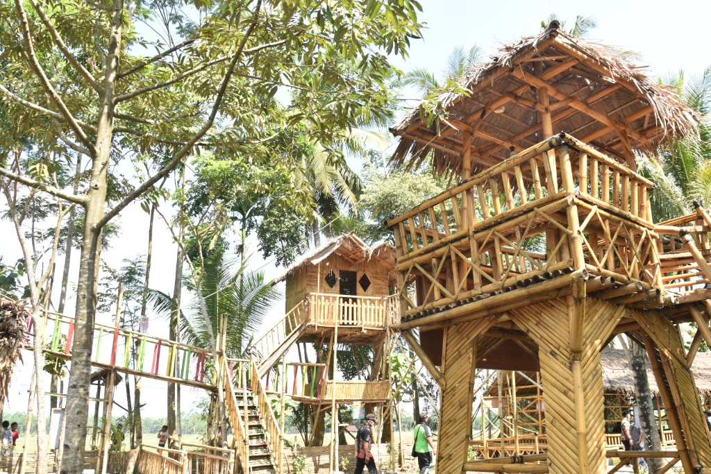 BUMDes Sukosari Sulap Sawah Jadi Cafe dan Resto Rumah Pohon