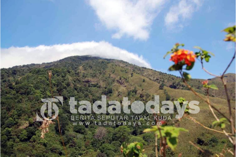 Bukit Betitang Ranugedang Tiris Kabupaten Probolinggo, Sajikan Panorama Padang Sabana, Tawarkan Kesejukan Pegunungan