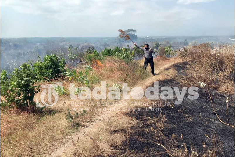 Cuaca Panas, 6 Hektar Hutan di Gunung Bentar Probolinggo Terbakar