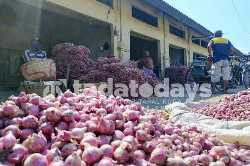 Pedagang Resah Harga Bawang Merah Turun hingga Rp 6 Ribu Kilogram