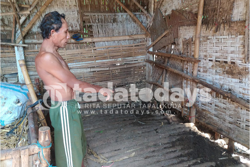 Dua Sapi Indukan Milik Warga Kedungsupit Dimaling, Pemilik Merugi Rp 35 juta