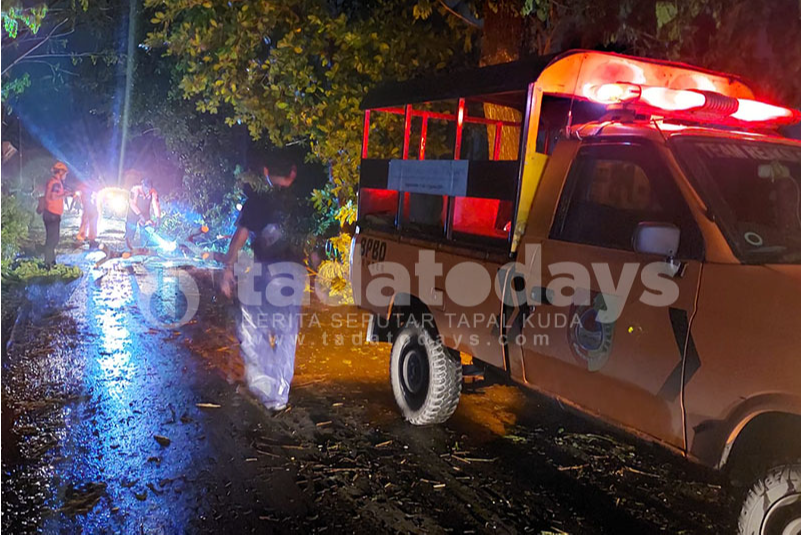 Tertimpa Pohon Tumbang, Seorang Pengendara Meninggal