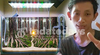 Aquascape Karya Tony, Terinspirasi dari Alam