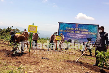 Agrowisata Rembangan Beralih ke Tanaman Kelengkeng untuk Dongkrak PAD