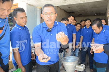 Kulit Kopi Disulap Menjadi Biopelet, Bahan Bakar Alternatif