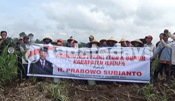 Komunitas Petani Tebu dan Buruh Jember Deklarasi Dukung Prabowo