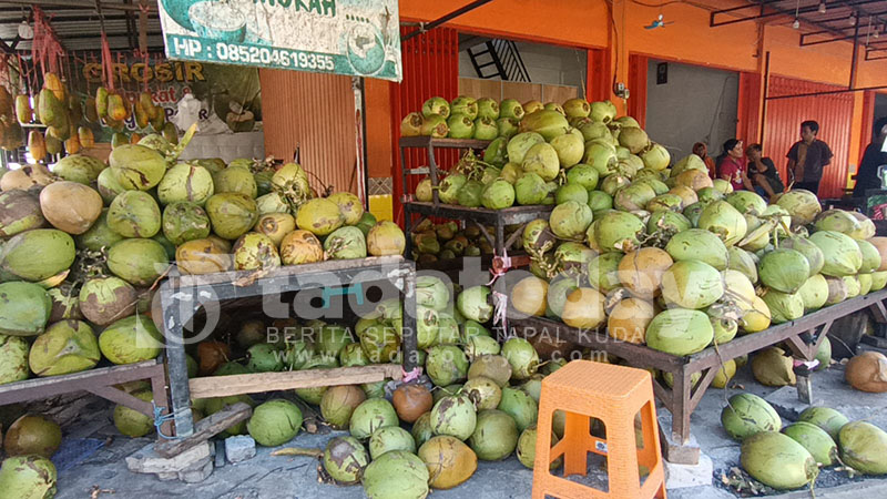 Berkah di Balik Cuaca Panas, Degan Laku 450 Buah Sehari