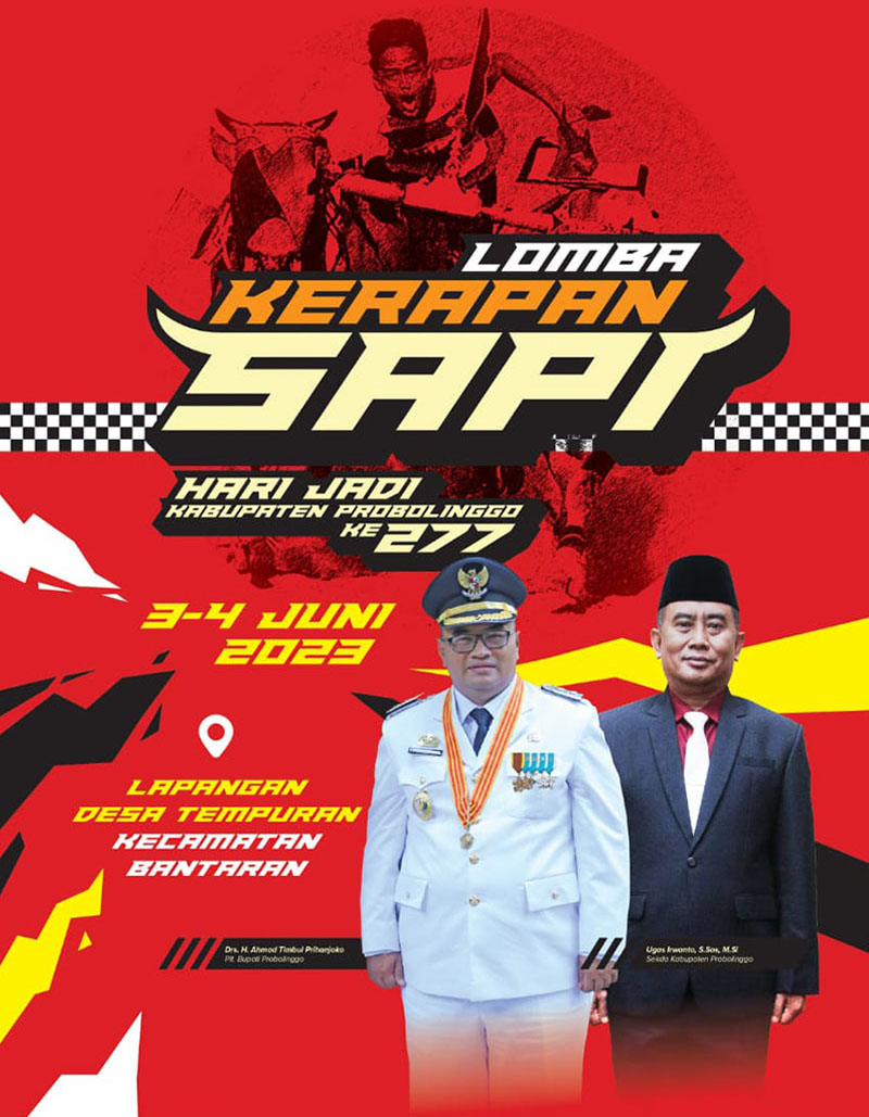 Yuk Nonton Lomba Kerapan Sapi di Tempuran, Sabtu-Minggu