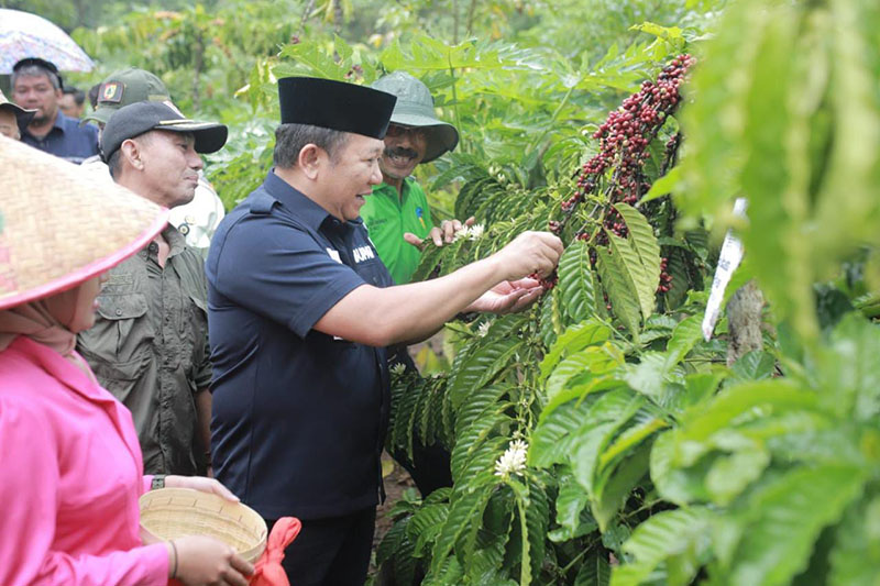 Sarasehan bareng Petani Kopi Desa Pace, Bupati Hendy Upayakan Kemajuan Industri Kopi