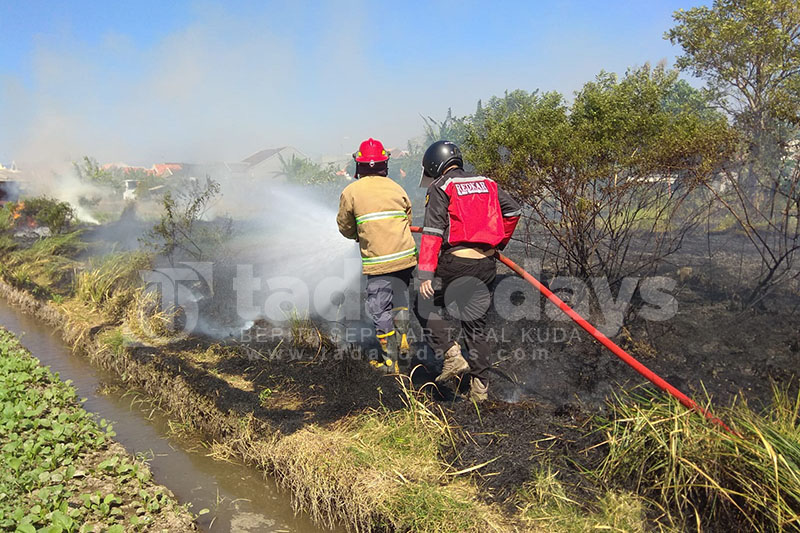 Selama 3 Bulan, Damkar Kota Probolinggo Tangani 31 Kebakaran