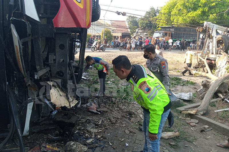 Hindari ODGJ, Bus Madu Kismo Terguling di Paiton, 2 Penumpang Tewas