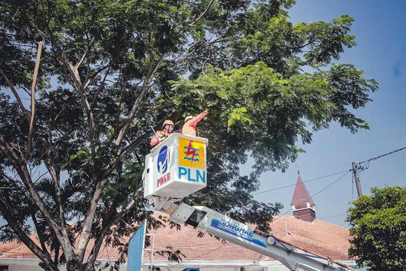 Gerpas Pohon di Jember Selesai, BPBD Minta Masyarakat Tetap Waspada