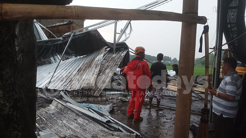 Lima Mobil Tertimpa Pohon akibat Hujan dan Angin Kencang, Cuaca Ekstrem Jember Diprediksi hingga Februari 2024