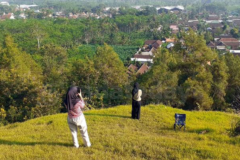Pucang Ranggah, Bukit di Lumajang dengan View Keindahan Gunung Semeru