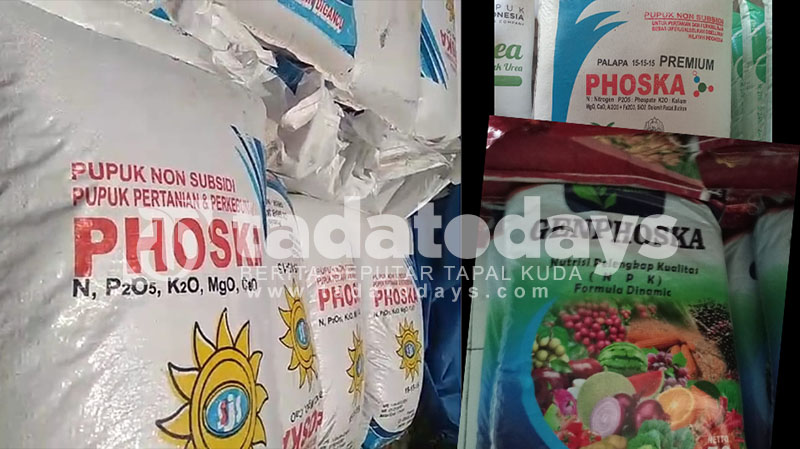 Waspada! Pupuk Palsu Mulai Beredar di Jember