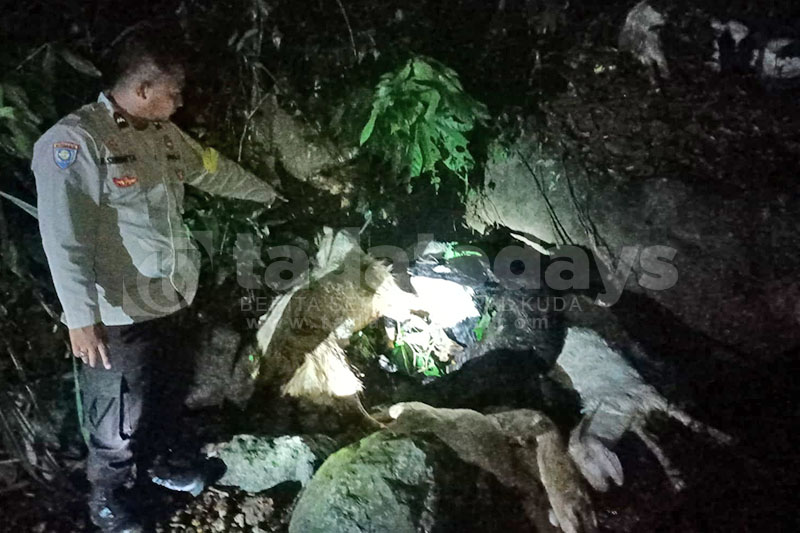 Puluhan Kambing Ditemukan Mati di Aliran Sungai Gunung Gumitir