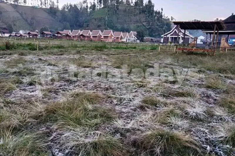 Fenomena Embun Upas di Danau Ranupani Lumajang