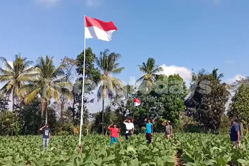 Petani di Jember Gelar Upacara di Tengah Ladang Tembakau