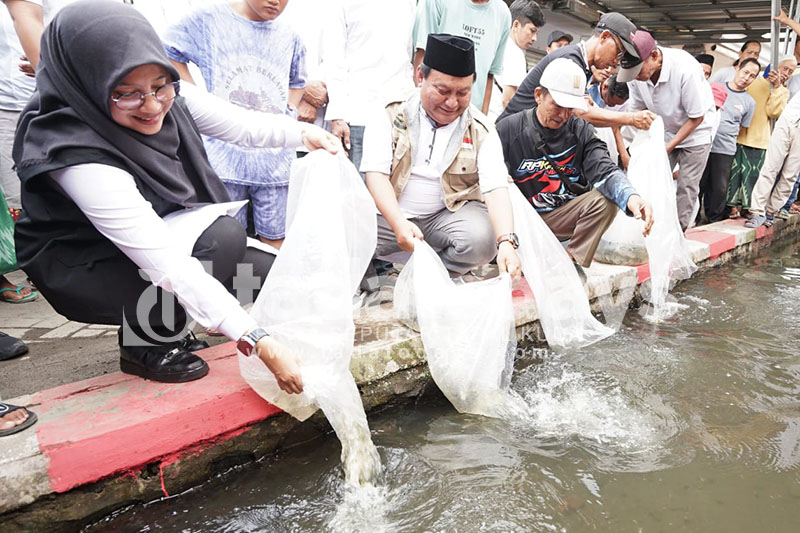 Warga Desa Genteng Sulap Saluran Air Kotor Jadi Kolam Ikan