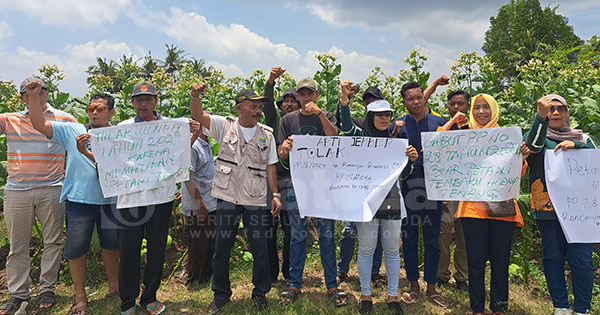 Berpotensi Rugikan Petani, APTI Jember Menolak PP 28 Tahun 2024 soal Tembakau