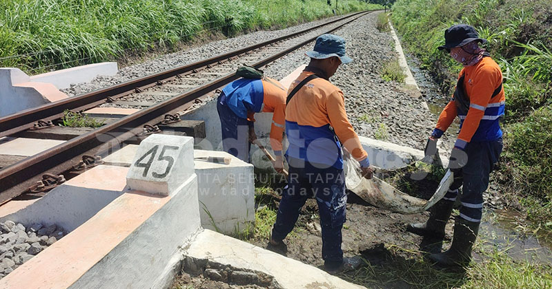 Antisipasi Dampak Bencana Hidrometeorologi, Daop 9 Jember Fokus Normalisasi Jalur KA