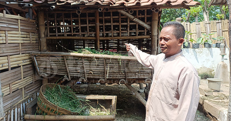 Warga Jrebeng Lor Kehilangan 3 Kambing Sekaligus dalam Semalam