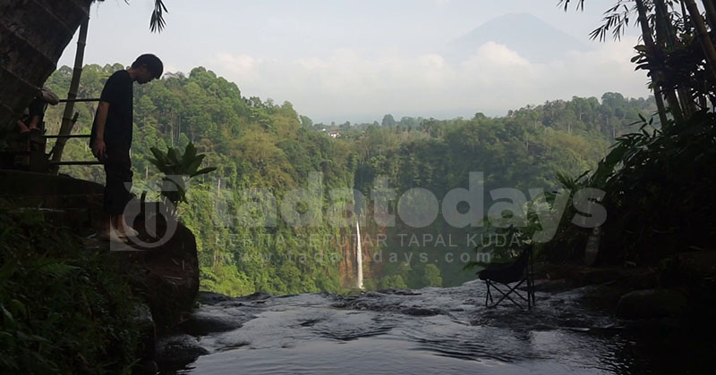 Panorama Kapas Biru Lumajang, Hamparan Pemandangan yang Instagramable