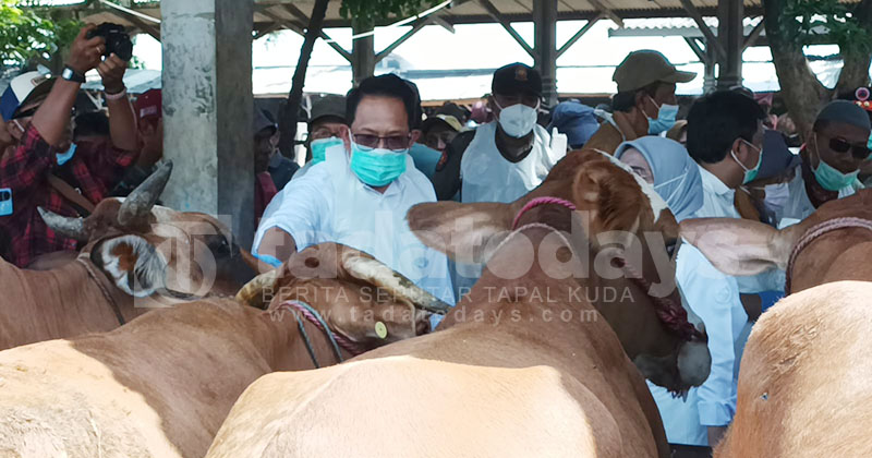 Pj Gubernur Jatim Kunjungi Pasar Hewan Kota Probolinggo, Berikan Obat Cegah PMK