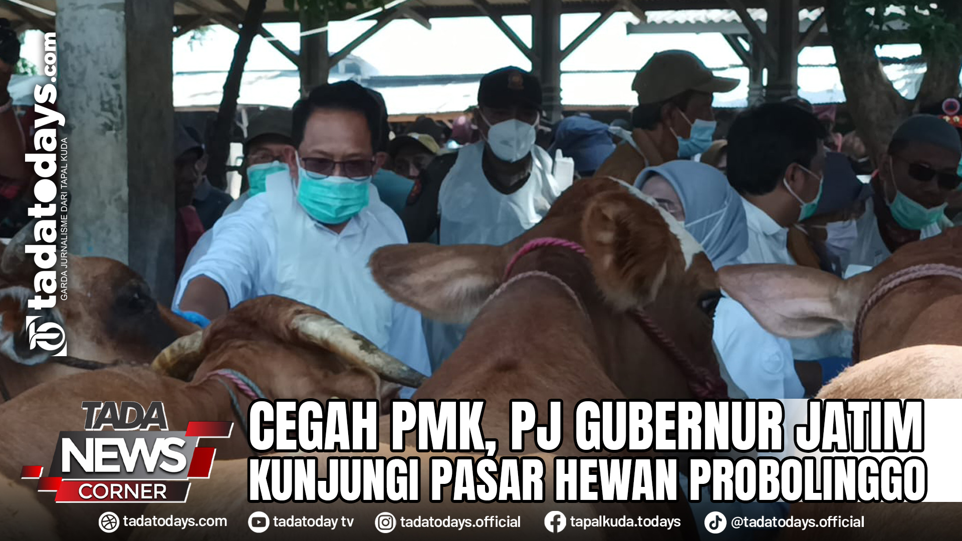 CEGAH PMK, PJ GUBERNUR JATIM KUNJUNGI PASAR HEWAN PROBOLINGGO