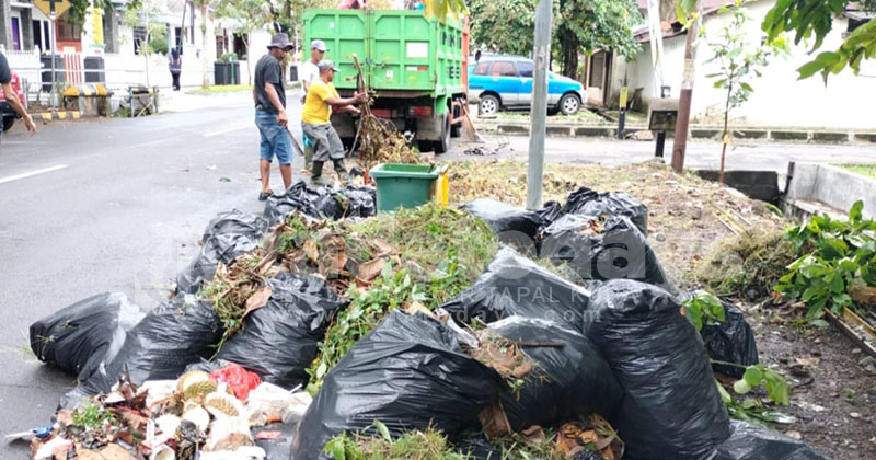 Gunungan Sampah Wilayah Kota Jember Mulai Diangkut, DLH: Belum Efektif