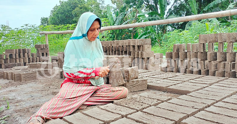 Musim Hujan, Pembuatan Batu Bata Merah di Banyuwangi Tersendat dan Menurun