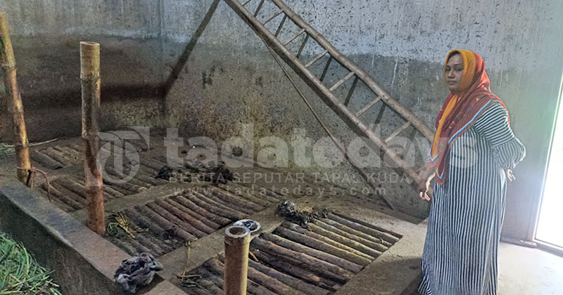 Sapi Tabungannya Dicuri Maling, Warga Kareng Lor Kota Probolinggo Merugi Rp 20 Juta