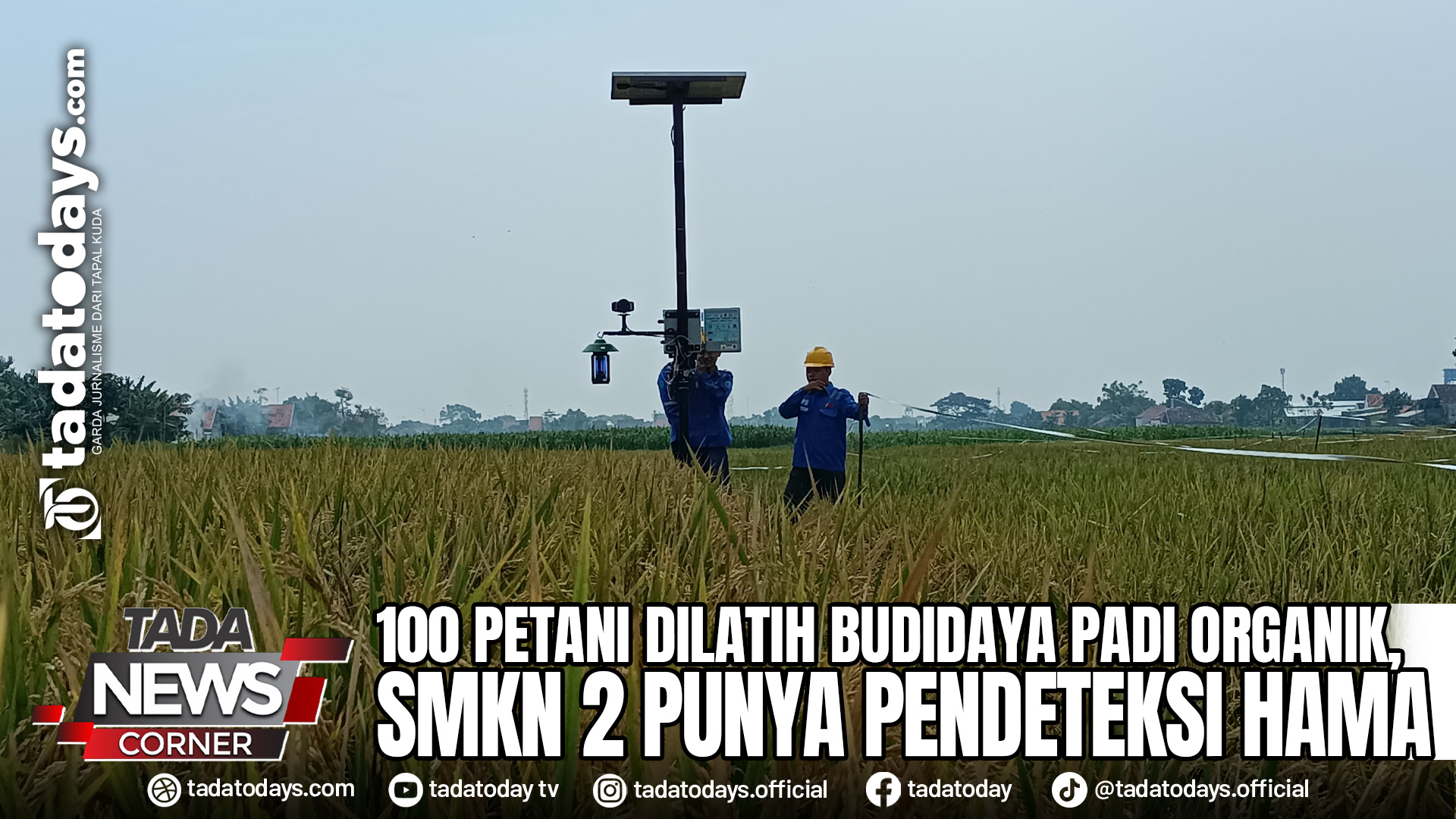 100 PETANI DILATIH BUDIDAYA PADI ORGANIK, SMKN 2 PUNYA PENDETEKSI HAMA