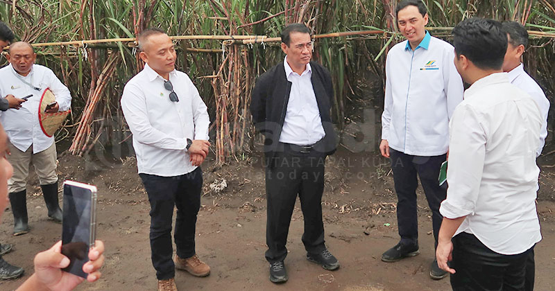 Genjot Swasembada Gula 2027, Pemerintah Jadikan Tebu sebagai Komoditi Perkebunan