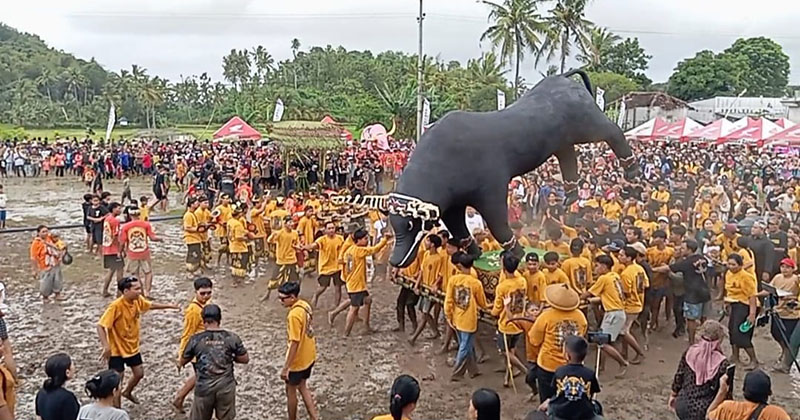 Meski Diguyur Hujan, Ritual Keboan Aliyan di Banyuwangi Tetap Semarak