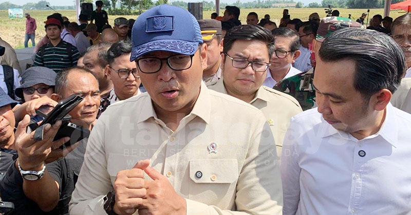 Dua Strategi Pemerintah Genjot Produksi Pangan, Wamentan Soroti Potensi Jember