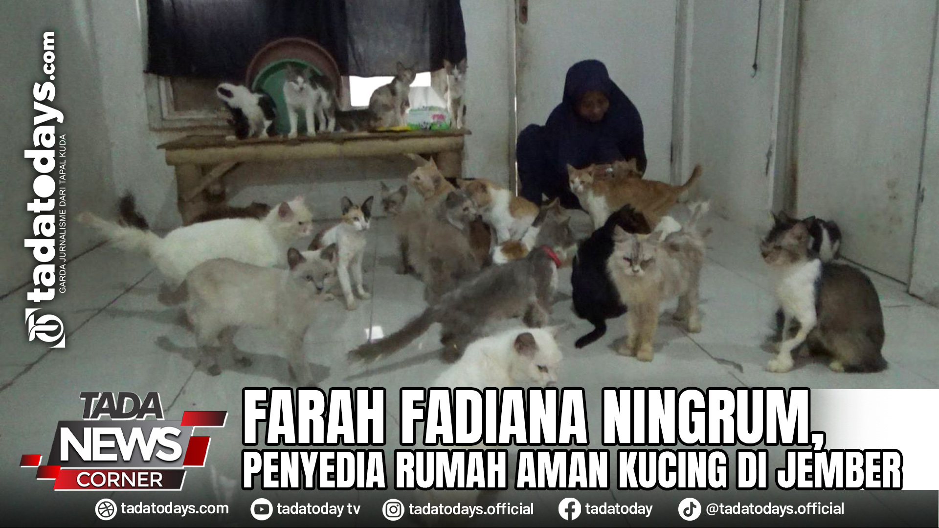 FARAH FADIANA NINGRUM, PENYEDIA RUMAH AMAN KUCING DI JEMBER