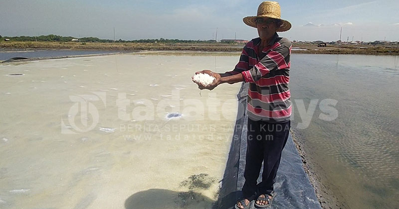 Produksi Garam di Kota Pasuruan Lesu, Terdampak Anomali Cuaca