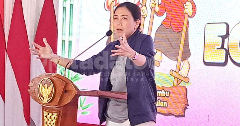Dorong Care Economy, Wamen PPPA: Pekerja Domestik Perempuan Harus Diakui dan Dilindungi