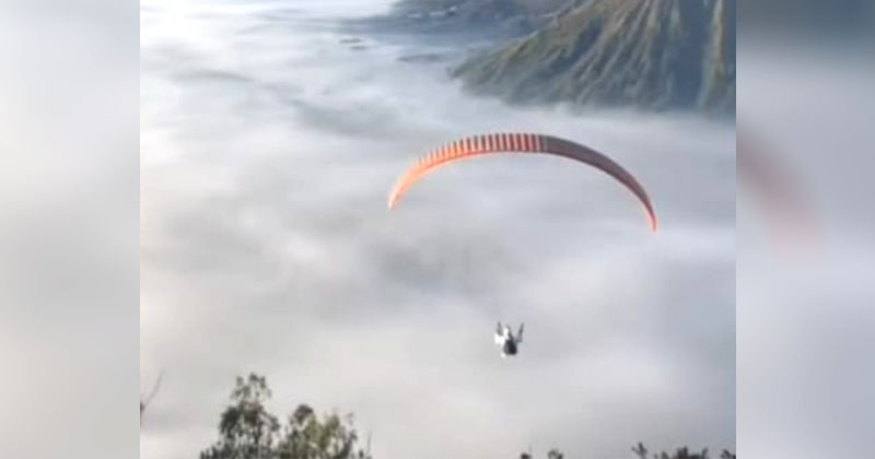 Viral Ada Paralayang di Bromo, TNBTS Tegaskan Dilarang