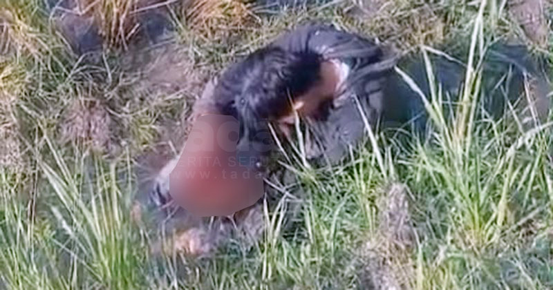 Terduga Maling Motor di Pasuruan Terluka usai Bondet yang Dibawa Meledak