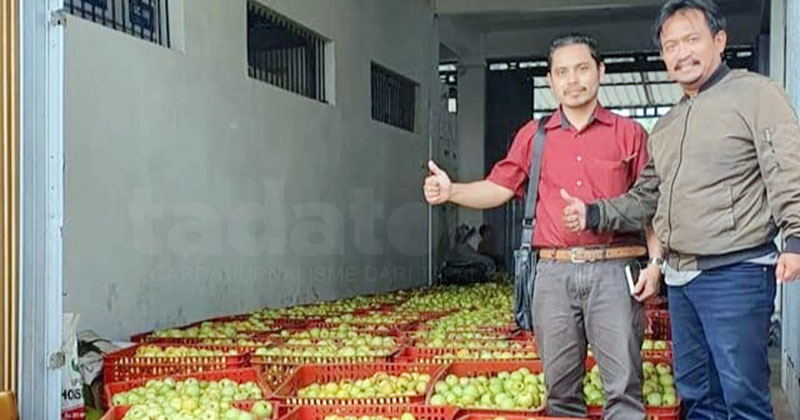 Petani Apel di Pasuruan Sambat Tak Ada Alokasi Pupuk Subsidi, Ajukan Audiensi dengan Kementan RI
