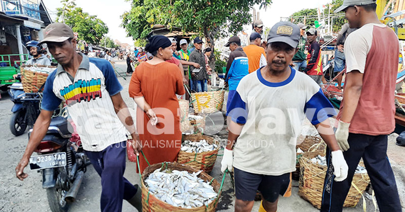Perikanan Tangkap Kota Pasuruan Semester Pertama 2025 Capai 7.045 Ton, Cuaca Buruk Bikin Produksi Turun