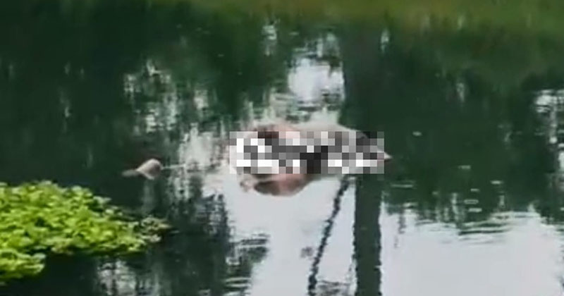 Mayat Pria Mengapung di Sungai Tegalsiwalan Probolinggo, Empat Hari Tidak Pulang