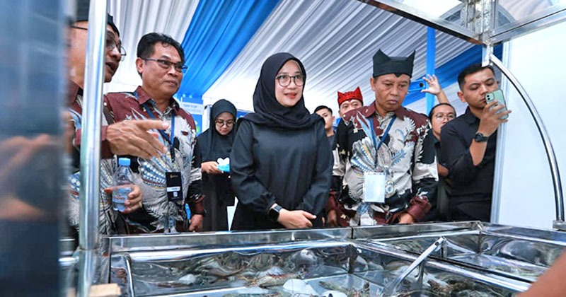 Ratusan Pelaku Industri Udang Berbagai Daerah Kumpul di Banyuwangi, Bahas Ekspor ke AS