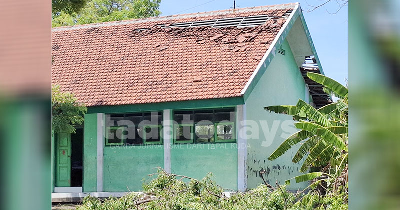Belasan Bangunan di Lekok Pasuruan Rusak Diterjang Puting Beliung, Seekor Sapi Mati Tertimpa Reruntuhan