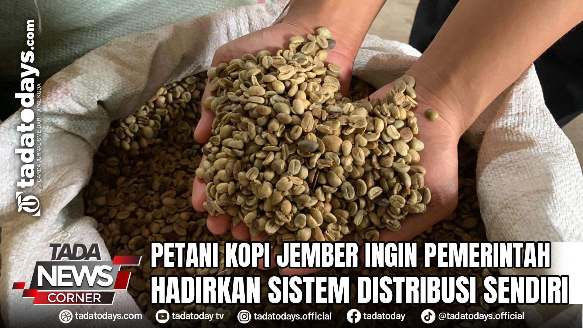 PETANI KOPI JEMBER INGIN PEMERINTAH HADIRKAN SISTEM DISTRIBUSI SENDIRI